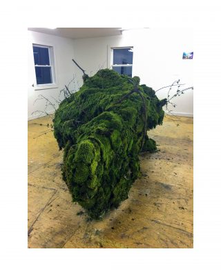 MossCow