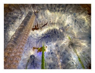 EvoGyre (detail)