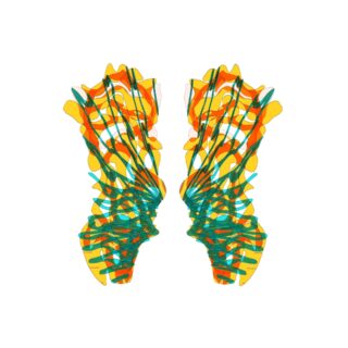 Inverted Transparent Butterfly